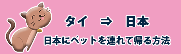 日本にペットを連れて帰る方法